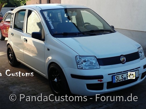 Panda Customs