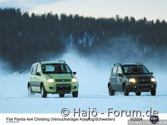 G_IF_Panda4x4_09