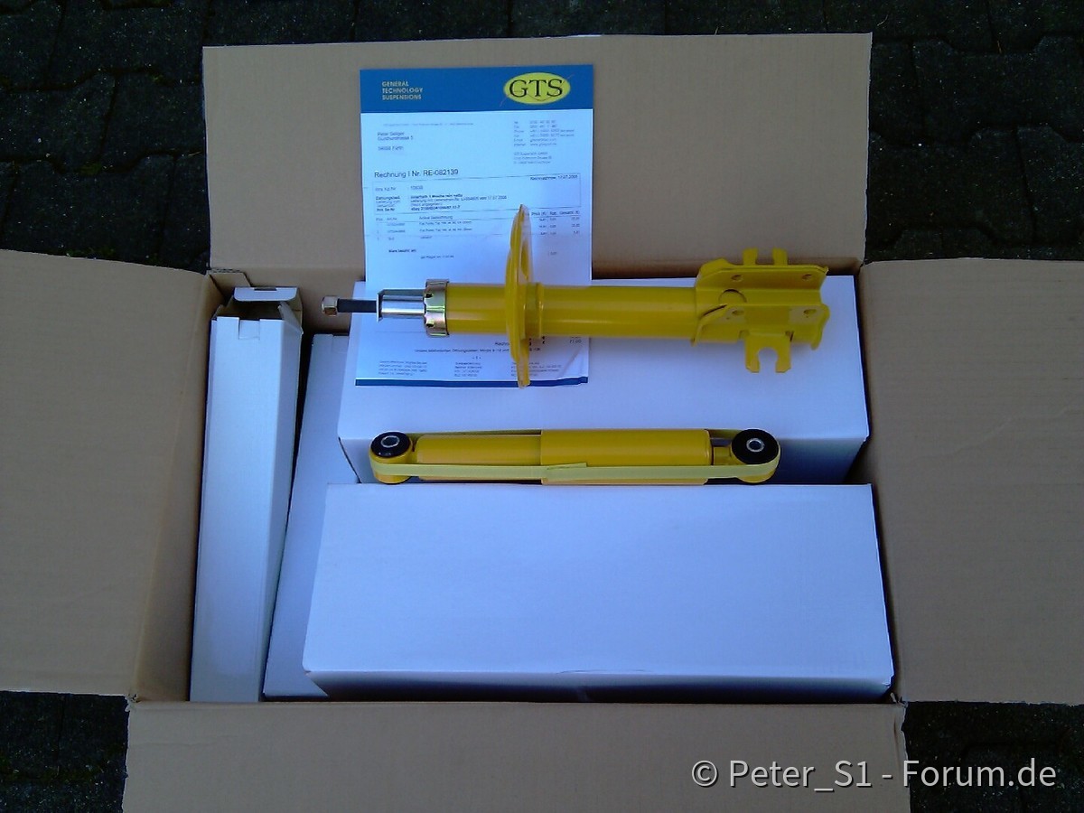 Punto188_Daempfer_GTS1