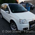 Panda 100HP von Don Sveno