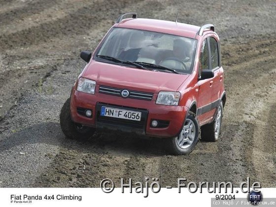 G_IF_Panda4x4_28