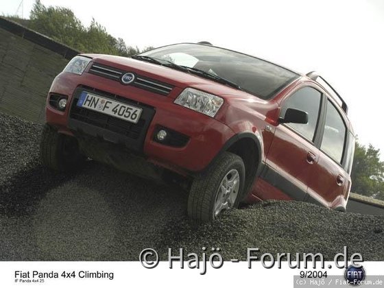 G_IF_Panda4x4_25